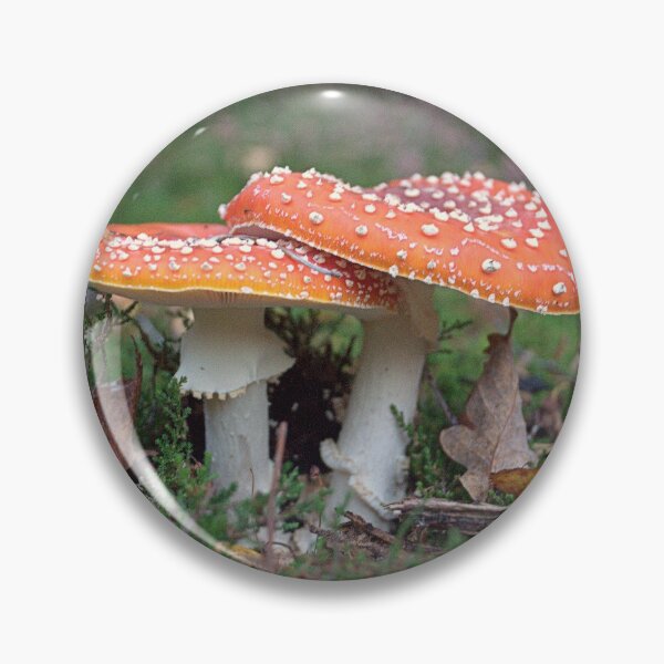 Item preview, Fly Agaric Friends..... designed and sold by Billlee.