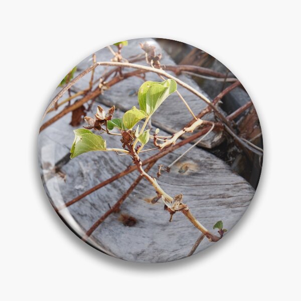 Item preview, "Broken" designed and sold by Andreas Koerner.
