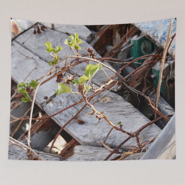 Item preview, "Broken" designed and sold by Andreas Koerner.