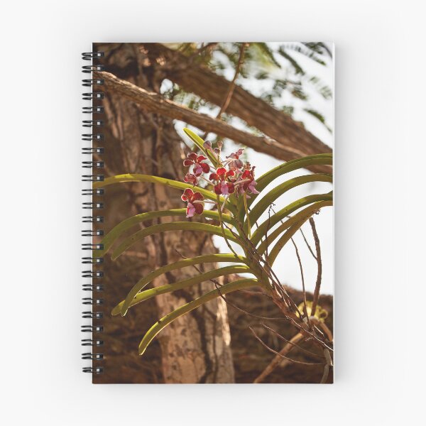 Item preview, "Impressions from Komodo Island" 7 of 7 designed and sold by Andreas Koerner.