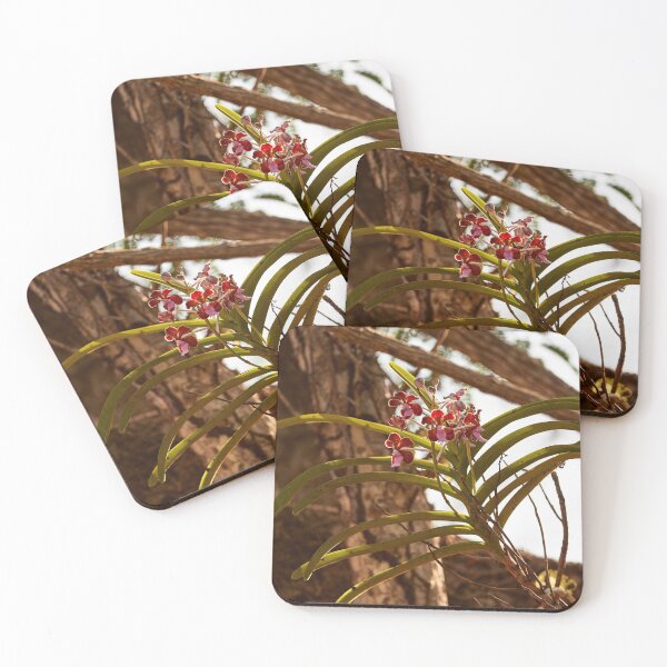 Item preview, "Impressions from Komodo Island" 7 of 7 designed and sold by Andreas Koerner.