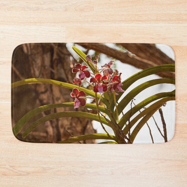 Item preview, "Impressions from Komodo Island" 7 of 7 designed and sold by Andreas Koerner.