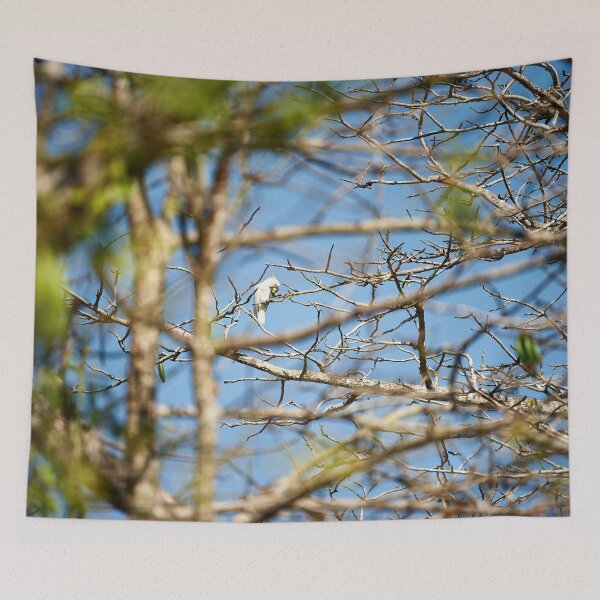 Item preview, "Impressions from Komodo Island" 2 of 7 designed and sold by Andreas Koerner.