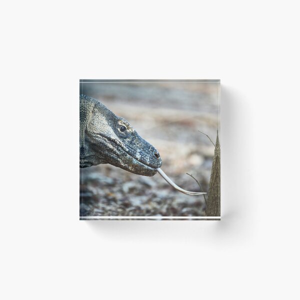Item preview, "Impressions from Komodo Island" 1 of 7 designed and sold by Andreas Koerner.