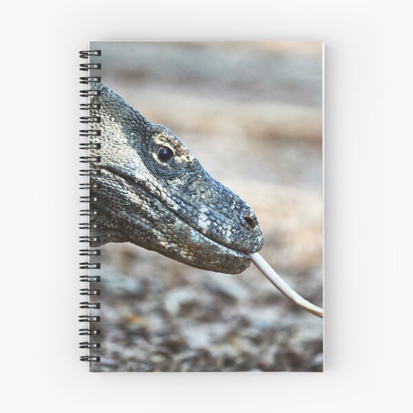 Item preview, "Impressions from Komodo Island" 1 of 7 designed and sold by Andreas Koerner.