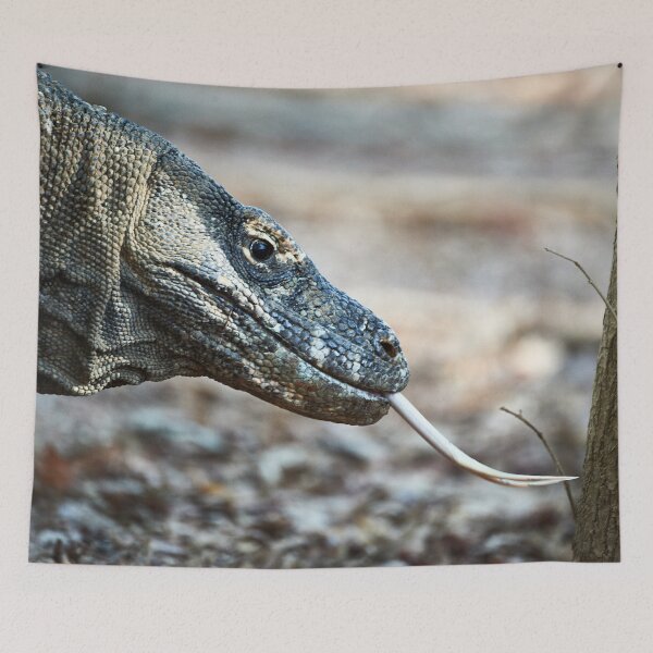 Item preview, "Impressions from Komodo Island" 1 of 7 designed and sold by Andreas Koerner.