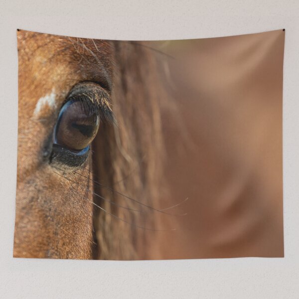 Item preview, Horses eye, close-up designed and sold by Nicole Bleck.