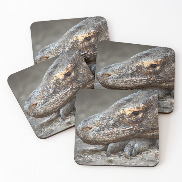 Item preview, "Wild impressions from Rinca Island" 5 of 5 designed and sold by Andreas Koerner.