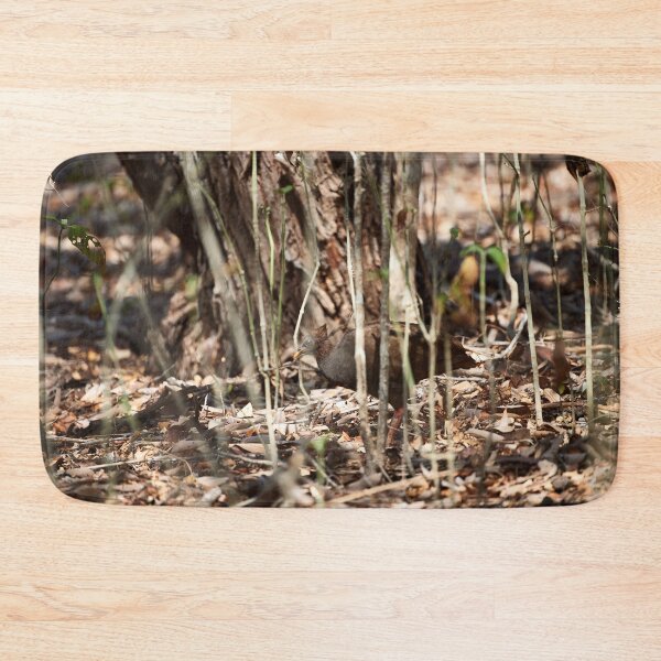 Item preview, "Wild impressions from Rinca Island" 4 of 5 designed and sold by Andreas Koerner.