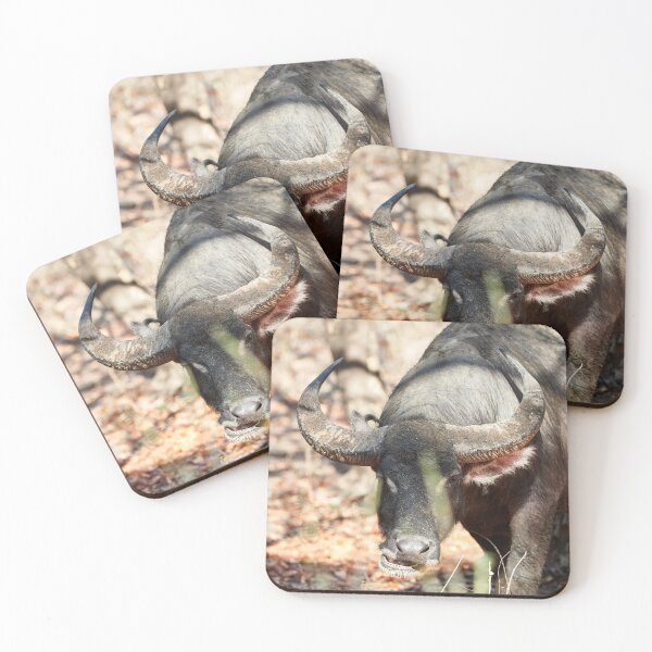 Item preview, "Wild impressions from Rinca Island" 3 of 5 designed and sold by Andreas Koerner.