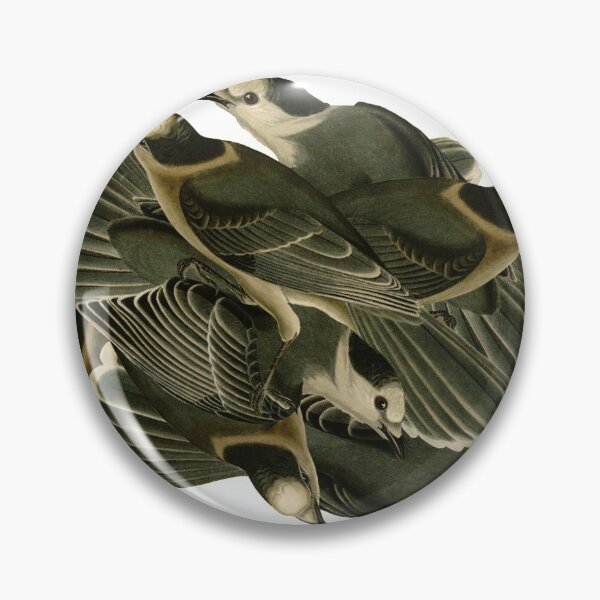 Item preview, Audubon's Canada jay designed and sold by Herons.