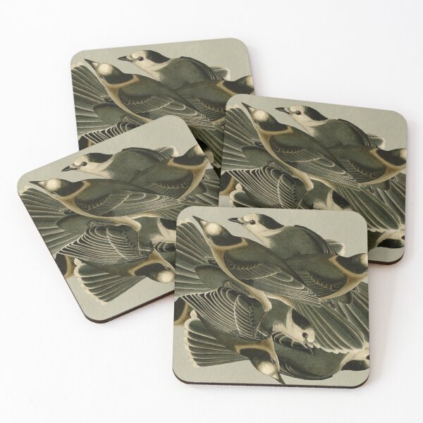 Item preview, Audubon's Canada jay designed and sold by Herons.