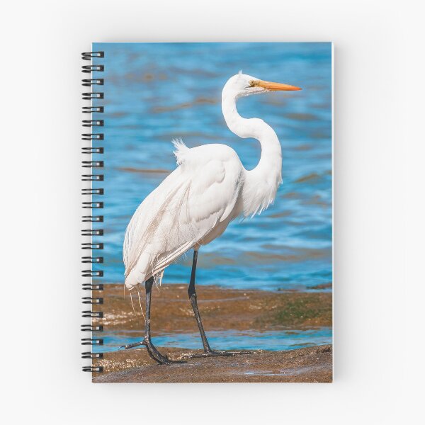 Item preview, White Stork At Coast of River Beach, Montevideo, Uruguay designed and sold by DFLC Prints.