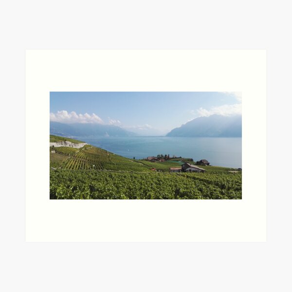 Item preview, Vaud vineyards overlooking Lake Geneva designed and sold by wineandwords.