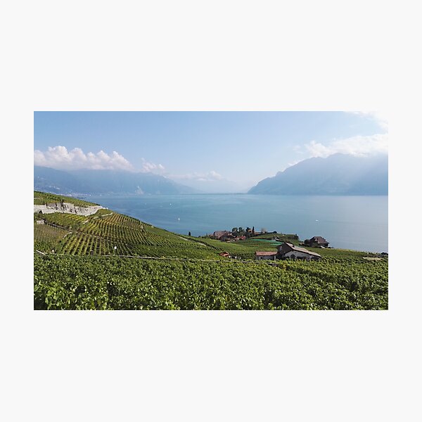 Item preview, Vaud vineyards overlooking Lake Geneva designed and sold by wineandwords.