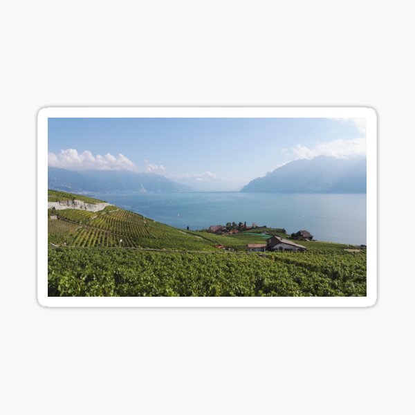 Item preview, Vaud vineyards overlooking Lake Geneva designed and sold by wineandwords.