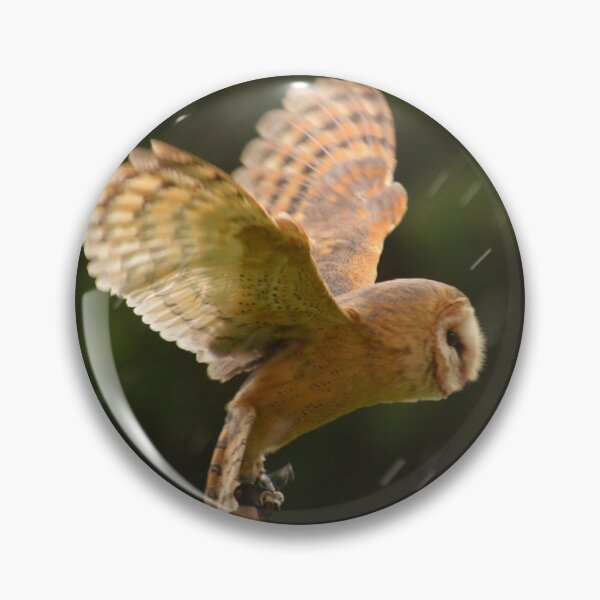 Item preview, the barn owl fly's designed and sold by JoeEJackson.