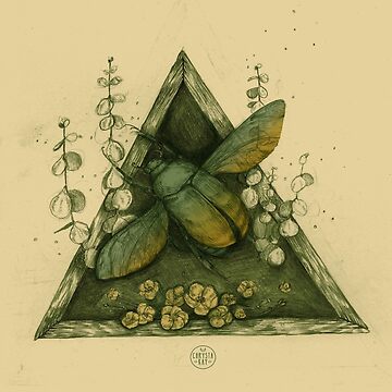 Artwork thumbnail, Flight - Ombre Beetle  by chrystakay