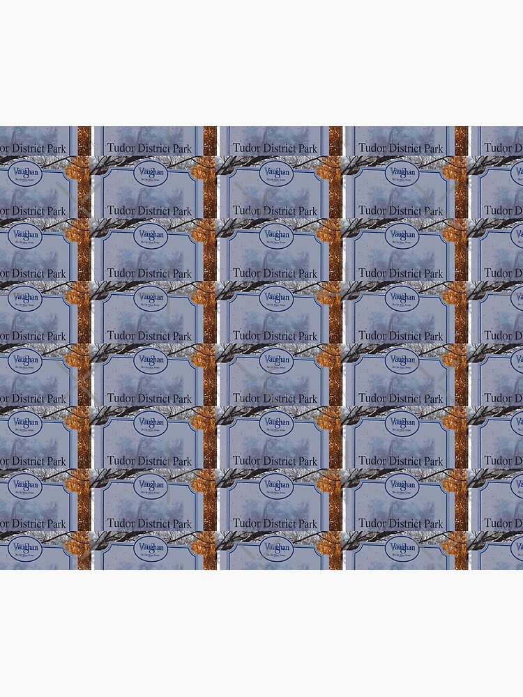Tudor, A gift for Tudor by PicsByMi