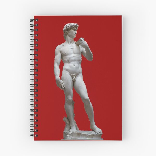 Item preview, Magnificent and Imperfect David designed and sold by Falo Magazine.