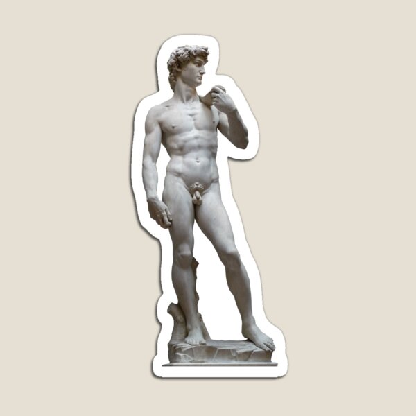 Magnificent and Imperfect David Magnet