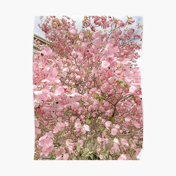 A Breath of Flower Air Poster