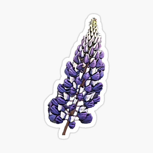 Item preview, Lupine lupin legume family Fabaceae centers diversity America designed and sold by SlightUser.