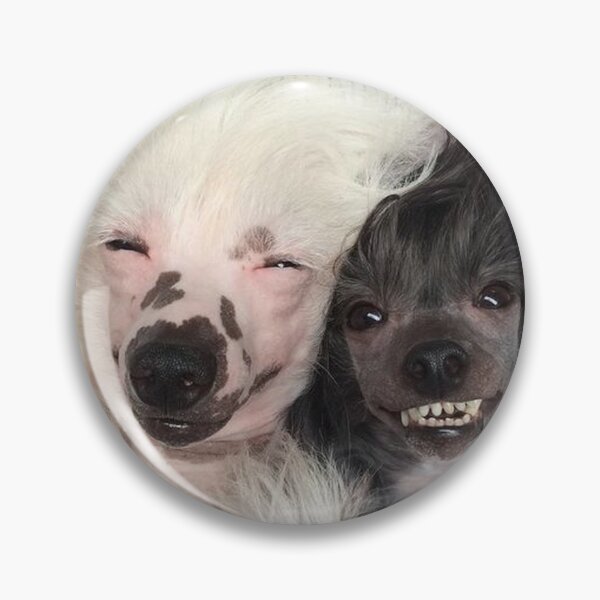 Item preview, Chinese Crested Dog smiling crazy funny pets designed and sold by Coolstuff4you71.