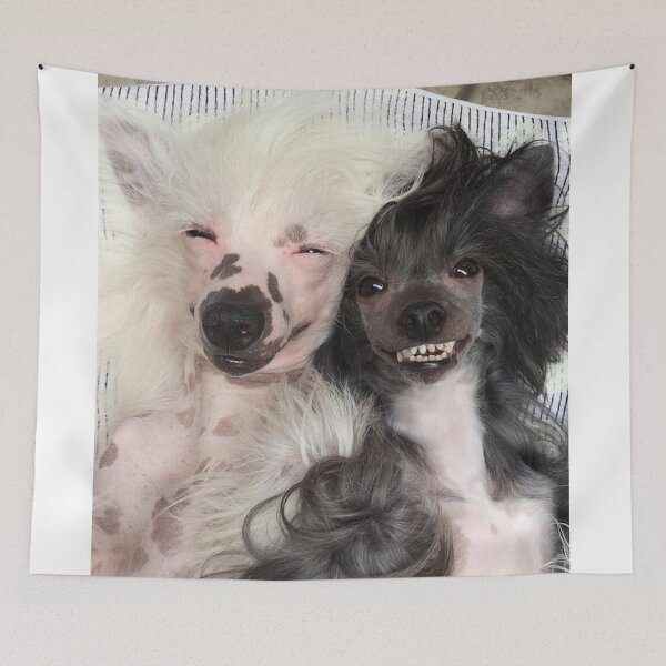 Item preview, Chinese Crested Dog smiling crazy funny pets designed and sold by Coolstuff4you71.