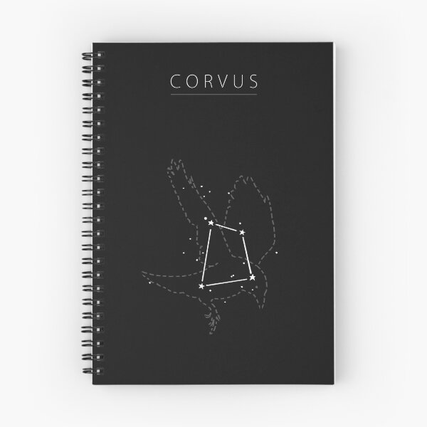 Item preview, CORVUS designed and sold by MelZohar.