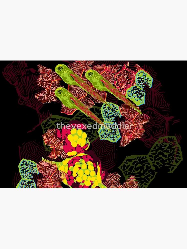 Zebrafish Fluorescent Staining by thevexedmuddler