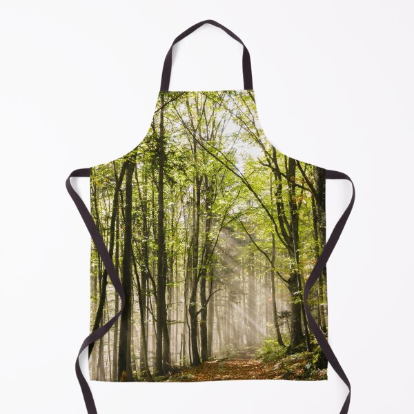 Item preview, Sun rays penetrate the fog in the forest designed and sold by seunglee.