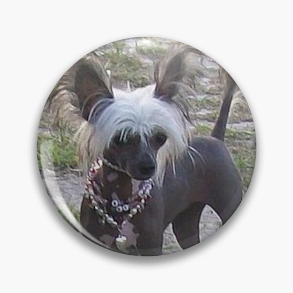 Item preview, Chinese Crested Dog - cute pets designed and sold by Coolstuff4you71.