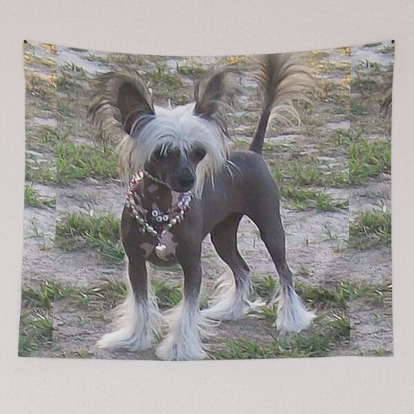 Item preview, Chinese Crested Dog - cute pets designed and sold by Coolstuff4you71.