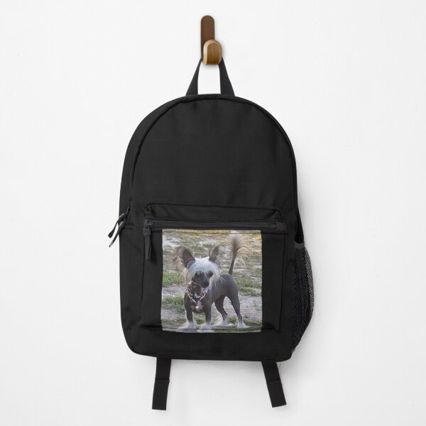 Item preview, Chinese Crested Dog - cute pets designed and sold by Coolstuff4you71.