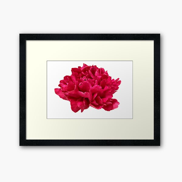 Item preview, Hot Pink Peony with Dewdrops designed and sold by InalterataArt.