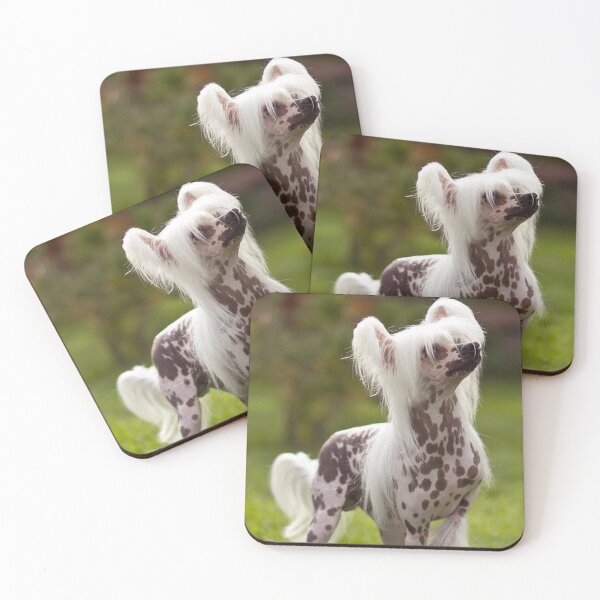 Item preview, Chinese Crested Dog - cute pets designed and sold by Coolstuff4you71.
