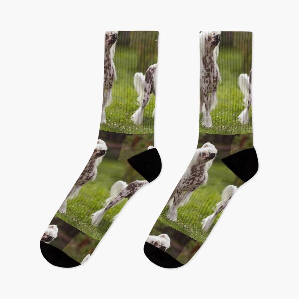 Item preview, Chinese Crested Dog - cute pets designed and sold by Coolstuff4you71.