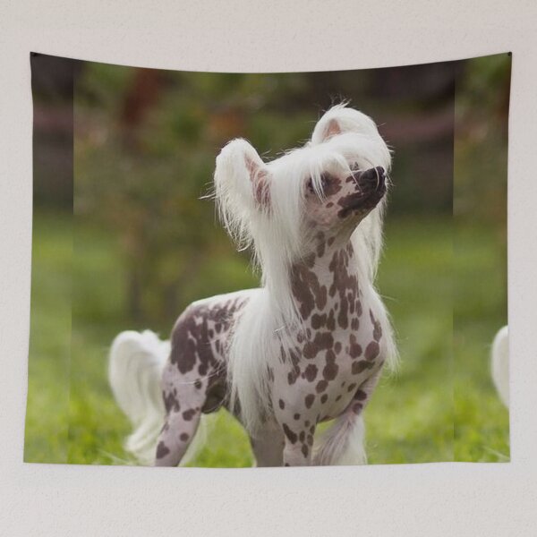 Item preview, Chinese Crested Dog - cute pets designed and sold by Coolstuff4you71.