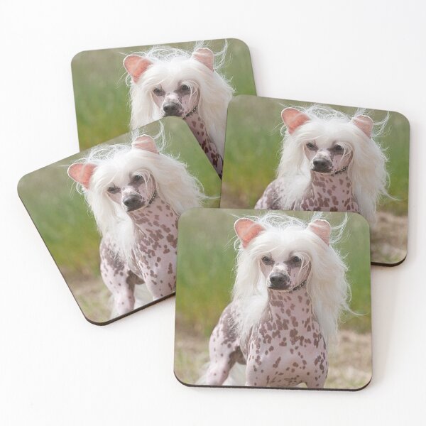 Item preview, Chinese Crested Dog - cute pets long hair designed and sold by Coolstuff4you71.