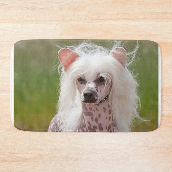 Item preview, Chinese Crested Dog - cute pets long hair designed and sold by Coolstuff4you71.