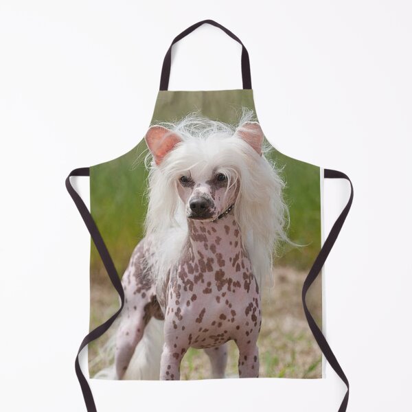Item preview, Chinese Crested Dog - cute pets long hair designed and sold by Coolstuff4you71.
