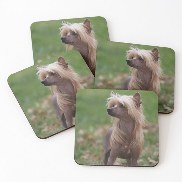 Item preview, Chinese Crested Dog - cute pets long hair designed and sold by Coolstuff4you71.