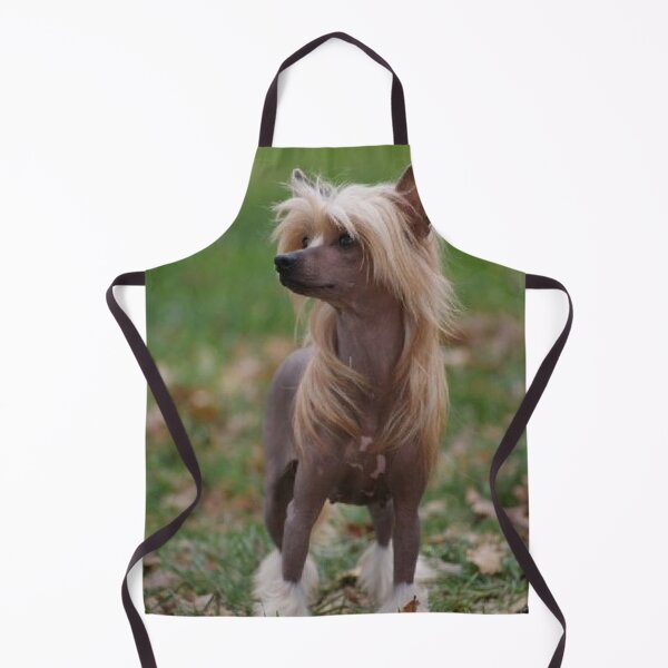 Item preview, Chinese Crested Dog - cute pets long hair designed and sold by Coolstuff4you71.