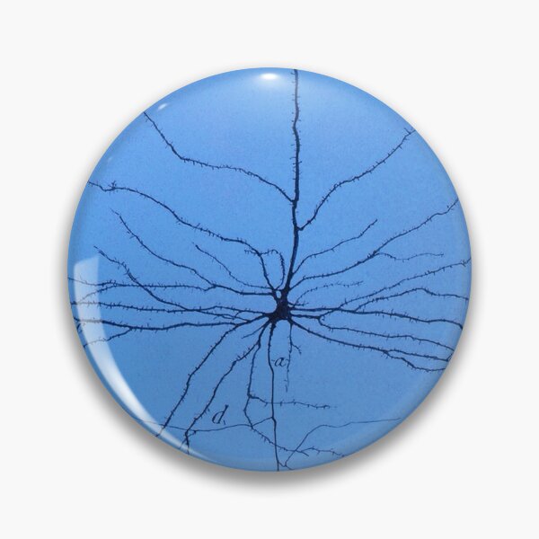 Item preview, Pyramidal Cell in Cerebral Cortex, Cajal designed and sold by ScienceSource.