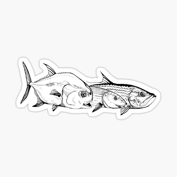 Patagonia Logo Snook Sticker - Hunter Banks Fly Fishing