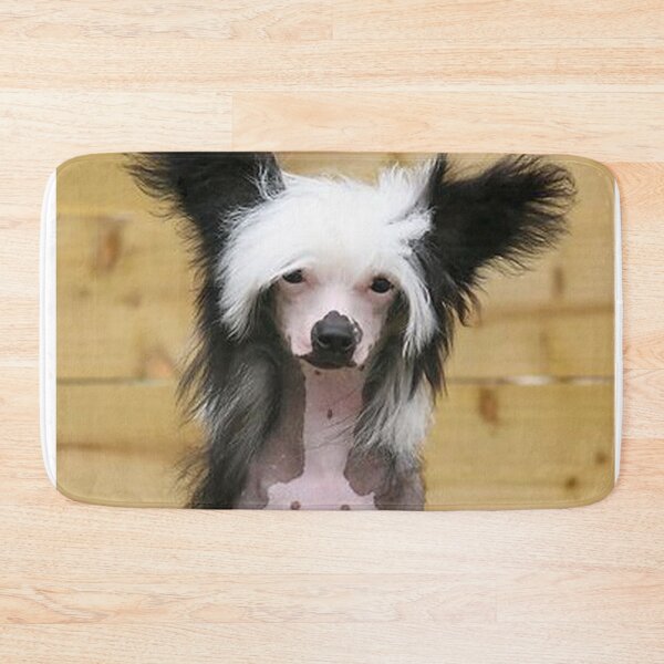 Item preview, Chinese Crested Dog - cute pets long hair designed and sold by Coolstuff4you71.