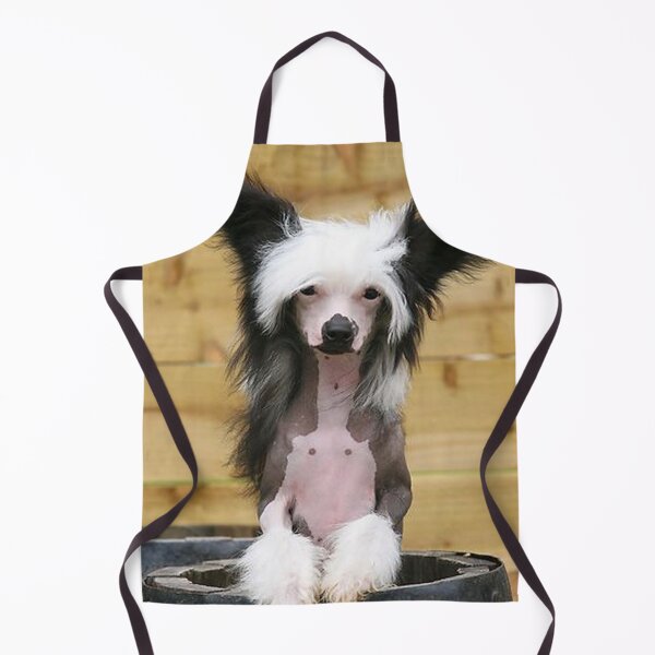 Item preview, Chinese Crested Dog - cute pets long hair designed and sold by Coolstuff4you71.