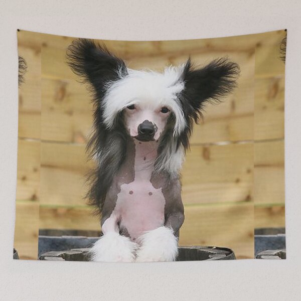 Item preview, Chinese Crested Dog - cute pets long hair designed and sold by Coolstuff4you71.