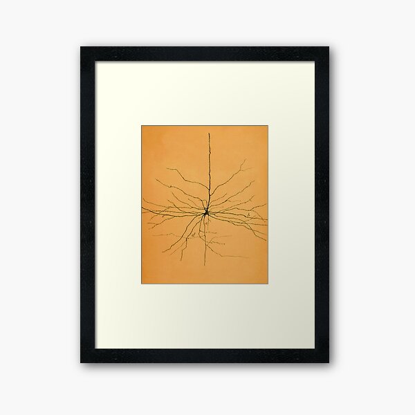 Pyramidal Cell in Cerebral Cortex, Cajal Framed Art Print